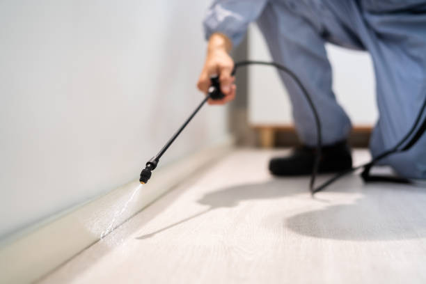 Certified termite inspector examining foundation in Brigantine